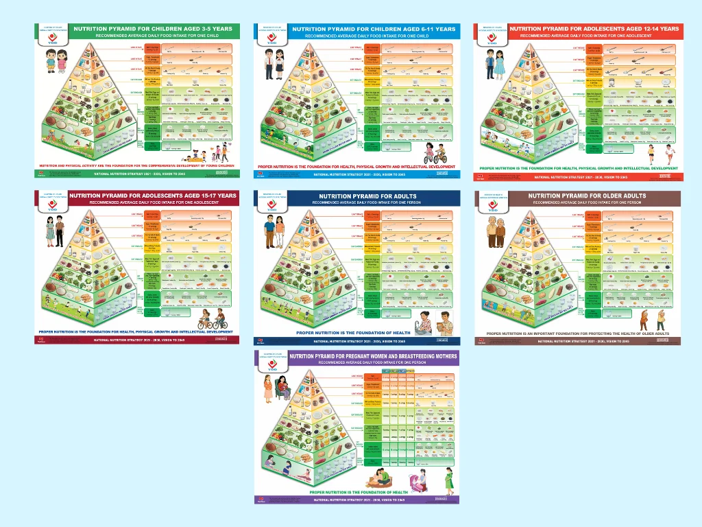 The Set of Vietnamese National Nutrition Pyramids