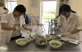A few women preparing foodAI-generated content may be incorrect.