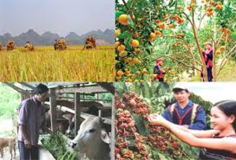 Hưởng ứng Tuần lễ Dinh dưỡng và Phát triển từ ngày 16 đến ngày 23/10/2015