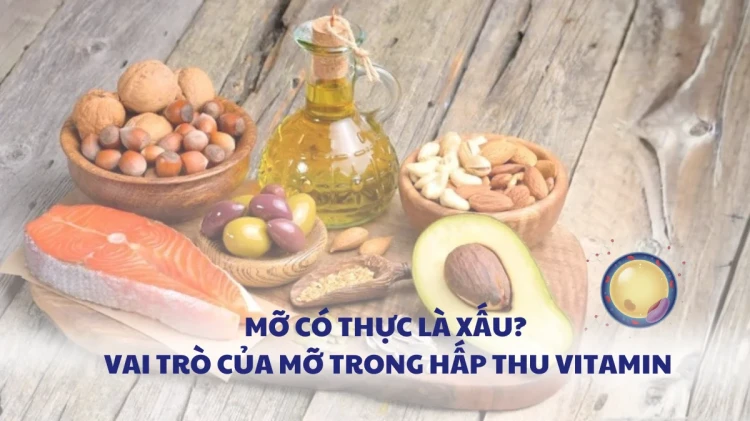 Mỡ có thực là xấu? Vai trò của mỡ trong hấp thu vitamin