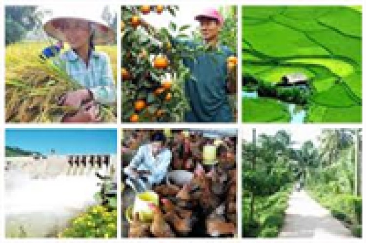 Phát triển nông nghiệp bền vững góp phần nâng cao tình trạng dinh dưỡng cho người Việt Nam