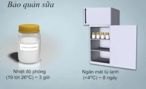 Hướng dẫn vắt, bảo quản và sử dụng sữa mẹ