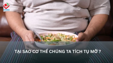 Tại sao cơ thể chúng ta tích tụ mỡ?