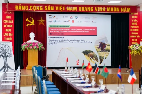 National Institute of Nutrition welcomes international delegation of the Scaling Up Nutrition (SUN) Movement to visit and work in Viet Nam