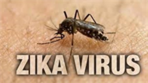 Cách phòng bệnh virus Zika