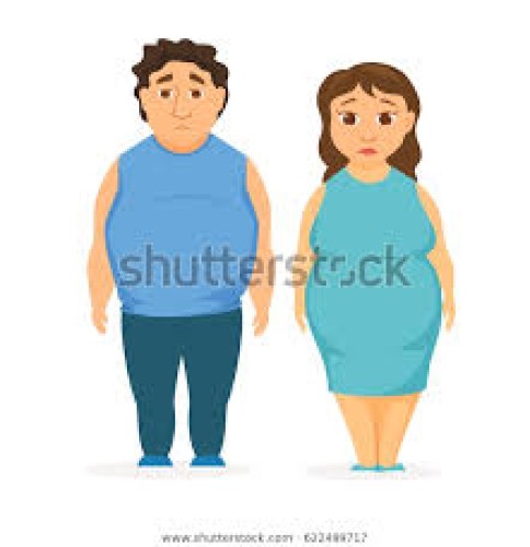 Nguyên tắc nào giúp người lớn giảm cân có hiệu quả khi bị thừa cân?