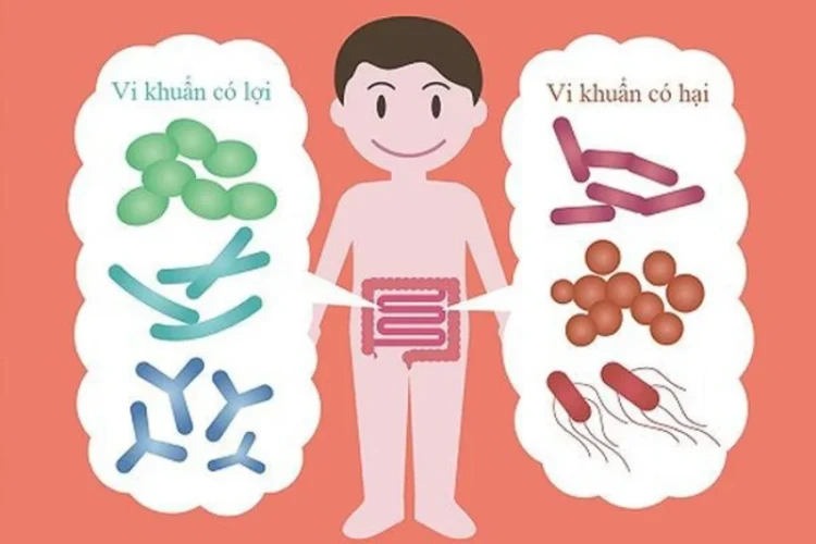 Hệ vi sinh vật đường ruột và sức khoẻ miễn dịch đầu đời của trẻ
