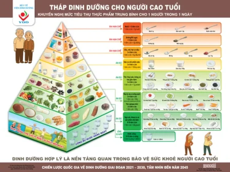 Hướng dẫn sử dụng tháp dinh dưỡng cho người cao tuổi