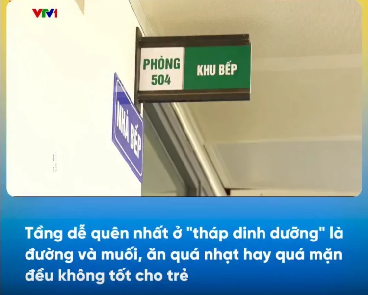 VTV Vì tầm vóc Việt - Tháp dinh dưỡng cho trẻ học đường