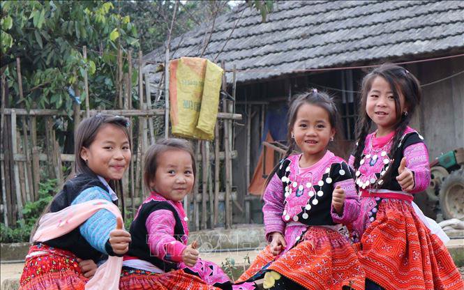 Chính sách dinh dưỡng và vận động xã hội