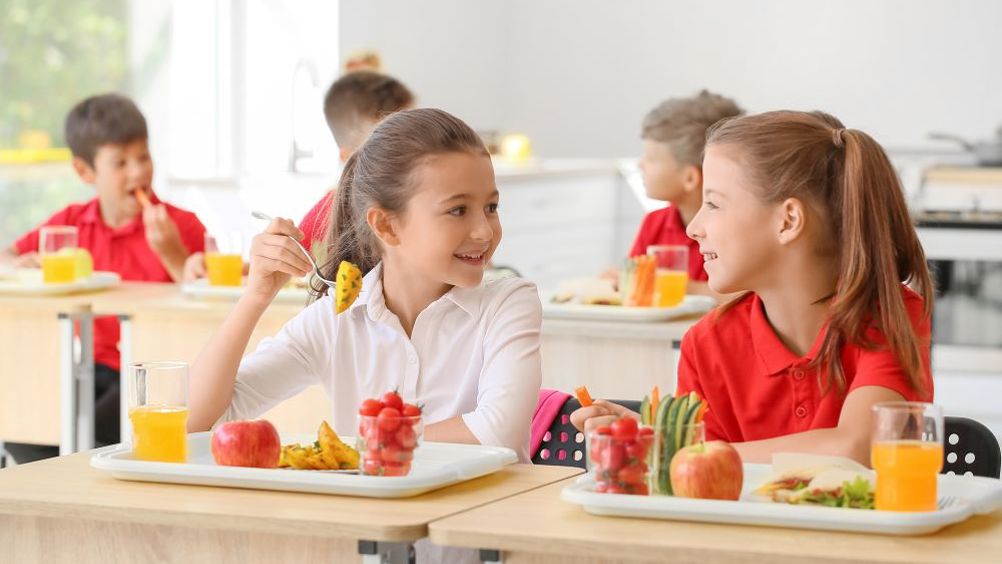 Nutritional needs and balance of diet for primary school students