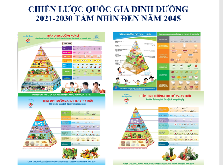 Giới thiệu Chiến lược quốc gia về dinh dưỡng