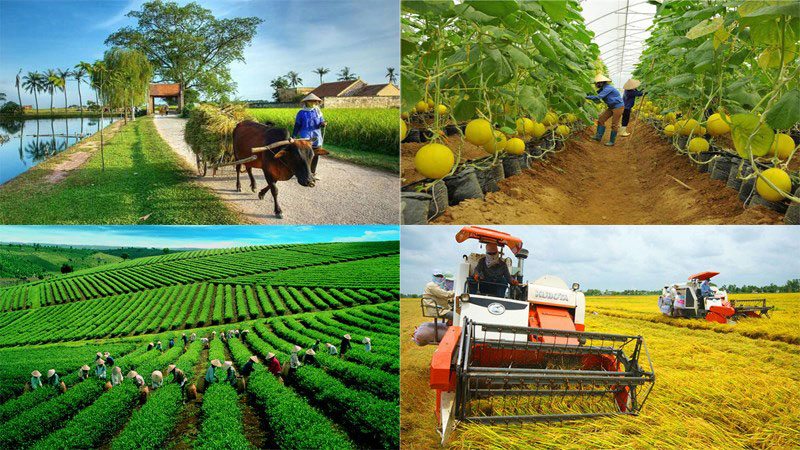 Giới thiệu chương trình mục tiêu quốc gia GNBV