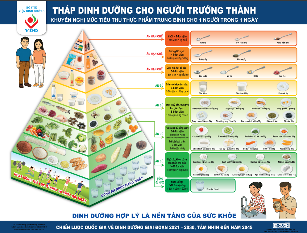 Tháp dinh dưỡng cho người trưởng thành