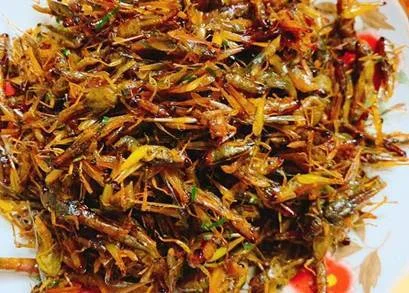 Hình của món Châu chấu rang lá chanh.