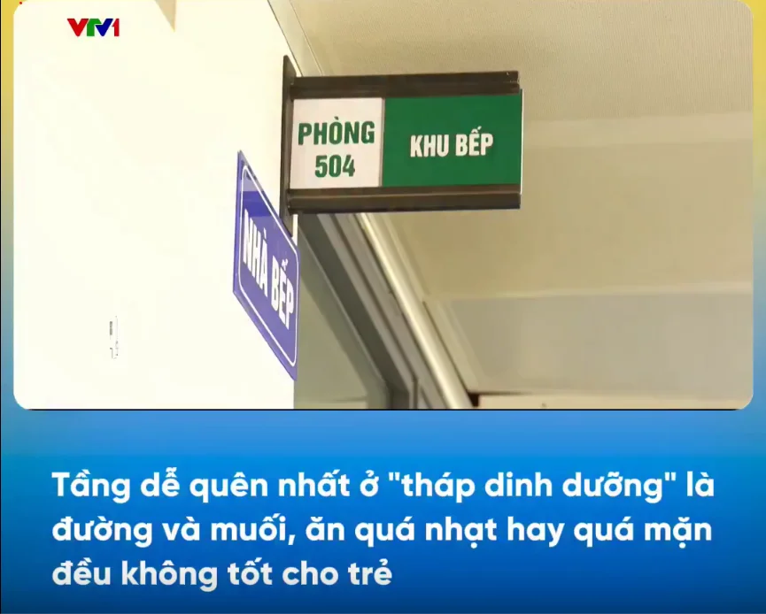 VTV Vì tầm vóc Việt - Tháp dinh dưỡng cho trẻ học đường