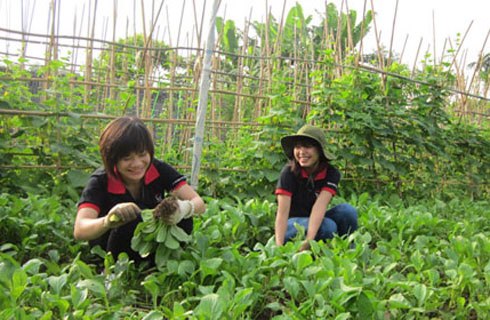 Hưởng ứng Tuần lễ Dinh dưỡng và Phát triển từ ngày 16 đến ngày 23/10/2014