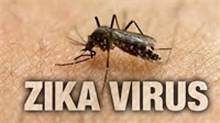 Cách phòng bệnh virus Zika