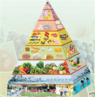 Giới thiệu tháp dinh dưỡng cho trẻ em 3-5 tuổi