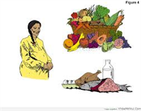 Điểm mới về nhu cầu khuyến nghị vitamin và khoáng chất cho người Việt Nam