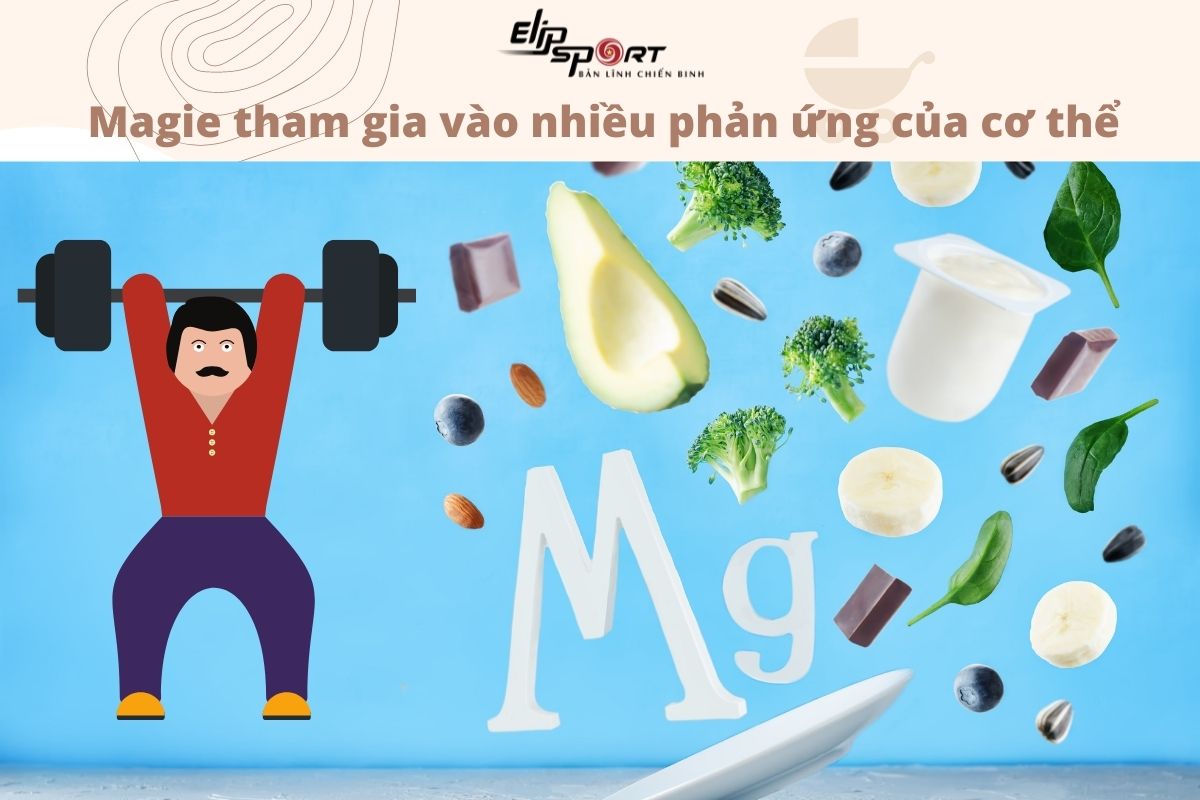 Thiếu Magiê cận lâm sàng